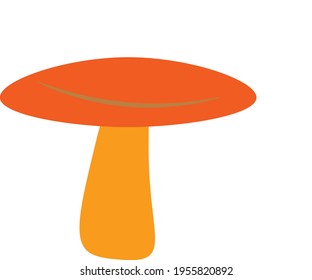 chanterelle mushroom, red, beautiful, edible
