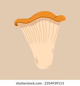 Chanterelle mushroom. Vector illustration in hand drawn style.