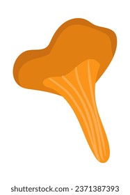 Chanterelle mushroom vector illustration. Single isolated object. Autumn theme. Finding in the forest. Hand drawn fall element for design greeting card. Thanksgiving Day