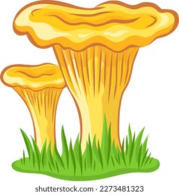 Chanterelle mushroom vector image without background