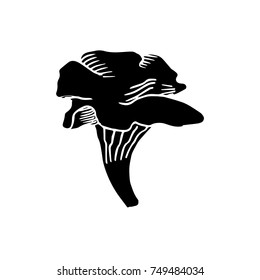 chanterelle mushroom vector sketch