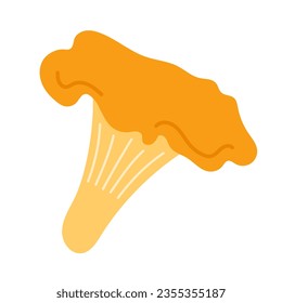 Chanterelle mushroom. Yellow forest edible mushroom. Hand-drawn colored botanical flat vector illustration isolated on white.