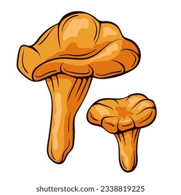 Chanterelle mushrooms colorful in cartoon style. Food drawing sketch hand drawn. Vector illustration isolated on a white background.