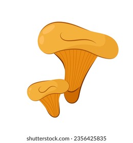 
Chanterelle mushrooms in flat style. Vector illustration of fresh chanterelle mushrooms isolated on white background.