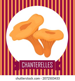 Chanterelle mushrooms in a frame. Vector card.