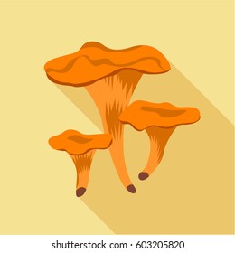 Chanterelle mushrooms icon. Flat illustration of chanterelle mushrooms vector icon for web