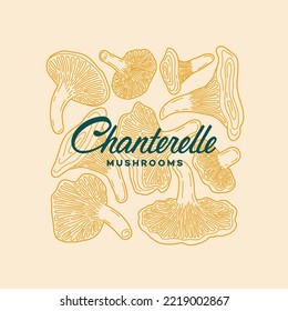 Chanterelle mushrooms label design template. Linear graphic style. Vector illustration.