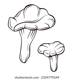 Chanterelle mushrooms in line art style. Hand drawn sketch icon of mushroom. Vector illustration isolated on a white background.