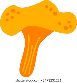 Chanterelle Mushrooms Plant Vector Illustration