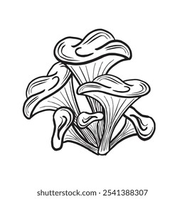 Esboço de cogumelos chanterelle. Composição das colheitas florestais de outono. Ilustração de vetor desenhada à mão isolada. Ingrediente para cozinhar alimentos crus. Arranjo de queda preto e branco. Clipart para embrulhar, menu.