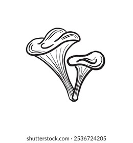 Boceto de hongos Chanterelle. Vector gráfico línea ilustración dibujado a mano aislado. Doodle blanco y negro. Ingrediente para cocinar, producción de alimentos Concepto de bosque silvestre. Clipart para la tarjeta, etiqueta engomada, menú