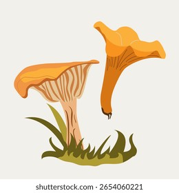 Chanterelle mushrooms sprouting from grass, natural forest element. For forest food concepts, organic design, or seasonal decorations.