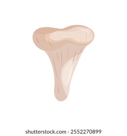 Chanterelle em uma ilustração de vetor de fundo branco.