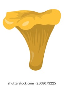 Chanterelle popular edible mushroom in flat style, element growing in forest for education or design vector illustration