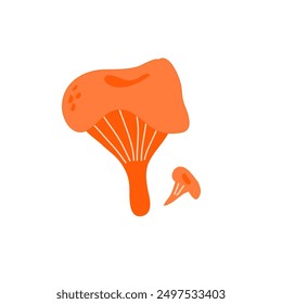 Chanterelle vector illustration of mushroom isolated for universal use in culinary projects such as recipe cards, menu layouts or educational materials promoting healthy eating habits