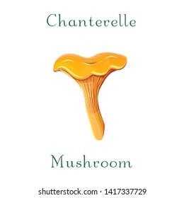 Chanterelle vector illustration.Chanterelle isolated on white backdrop. Vector orange mushroom. Sketch food drawing. Organic vegetarian product. Great for menu, label, product packaging, recipe