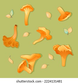 Chanterelles with autumn leaveson green background