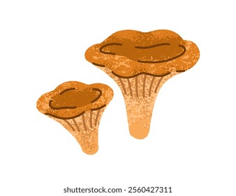 Chanterelles, autumn seasonal mushrooms. Fall forest natural food. Edible fungi. Cantharellus fungus, gilled caps, stalks, big and small. Flat graphic vector illustration isolated on white background