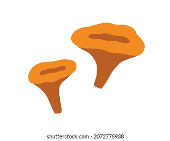 Chanterelles, big and small mushrooms composition. Autumn forest food. Fall edible Cantharellus fungus. Fungi icon drawn in doodle style. Flat vector illustration isolated on white background