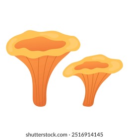 Ilustração de Chanterelles. Cogumelo comestível Isolado no branco. 