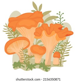 Chanterelles of different stages of growth surrounded by grass.Colorful forest mushrooms background for printing on fabric and paper.Natural flat cartoon illustration in detailed vector.