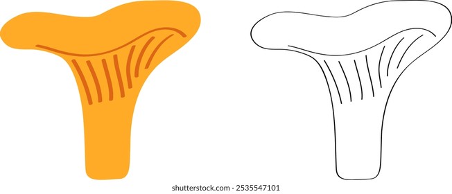 Os cantarelos são cogumelos laranja comestíveis. Desenho plano de desenho animado de esboço com contorno preto para coloração das crianças.