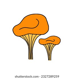 chanterelles, harvest. Vector Illustration for printing, backgrounds, covers and packaging. Image can be used for greeting cards, posters, stickers and textile. Isolated on white background.