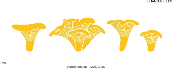 Chanterelles logo. Isolated chanterelles on white background