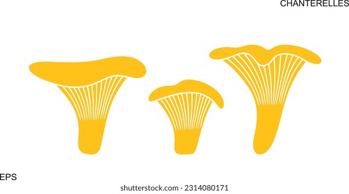 Chanterelles logo. Isolated chanterelles on white background