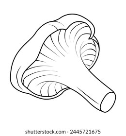 Chanterelles Mushrooms. Hand drawn Line art. Black and white isolated on white background. Coloring page for kids and adults. Vector illustration.