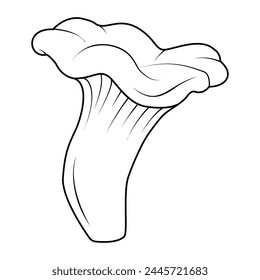 Chanterelles Mushrooms. Hand drawn Line art. Black and white isolated on white background. Coloring page for kids and adults. Vector illustration.