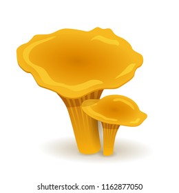 chanterelles mushrooms. vegetable healthy food. mushrooms isolated on white background. Vector cartoon close-up illustration.