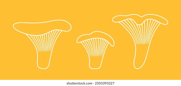 Chanterelles outline. Isolated chanterelles on white background