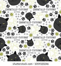 Chantilly-Tiffany : Cat breed collection : Seamless Pattern : Vector Illustration
