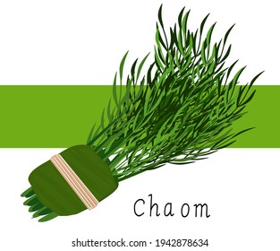 Chaom, Cha-om, a tropical member of the acacia family (Acacia pennata) native to mainland Southeast Asia, is a well-loved herby vegetable among Thais, Cambodians and Laotians. 