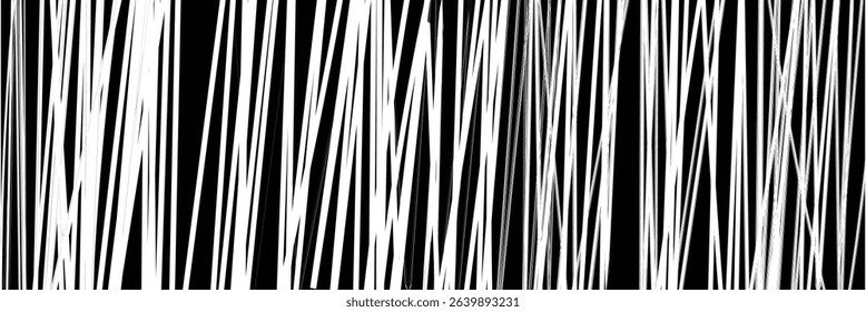 Chaos pattern. Abstract texture. Random chaotic lines. Intricate wallpaper. Hand drawn dinamic scrawls. Black and white illustration. Background with lines and waves. Universal texture. Art creation