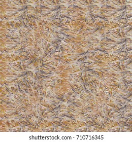 Chaotic brush mixed freehand strokes like savanna dry grass or animal fur. Distressed texture of natural colored fox, dog, cat, bear, wolf skin with fur.