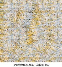 Chaotic brush mixed freehand strokes like savanna dry grass or animal fur. Distressed texture of natural colored fox, dog, cat, bear, wolf skin with fur.