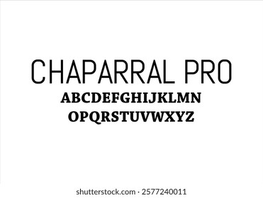 Chaparral Pro font for logo and headline. Isolated vector typeset