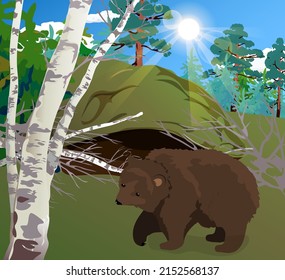 a character for animation a brown bear in a mixed forest pine-spruce birch woke up from hibernation in a den in spring seasons sun rays fauna flora ecology biology mammals geography nature clean air