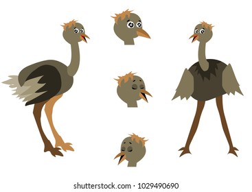 Character animation ostrich, vector illustration