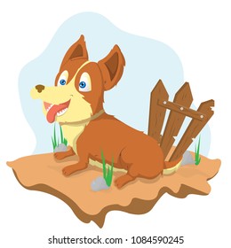 Character Cartoon Animals