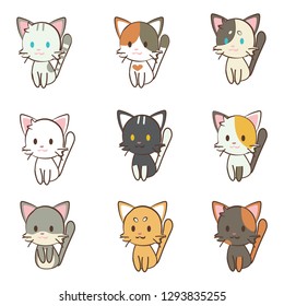 character cartoon cat set 