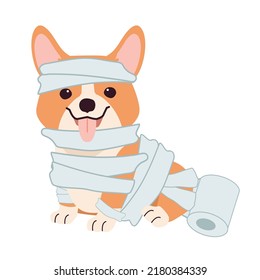 The character of Corgi dog with mummy of toilet paper costume for Halloween theme set. Graphic resource about dog pet animal and Halloween theme for content, banner, sticker label and greeting card.