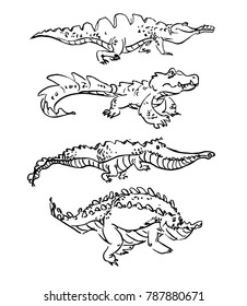 character crocodile sketch