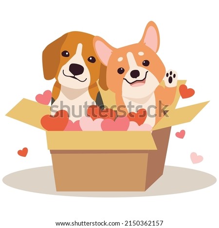 A Character of cute beagle and corgi with box and heart in flat vector style. Illustration about pet and animal.