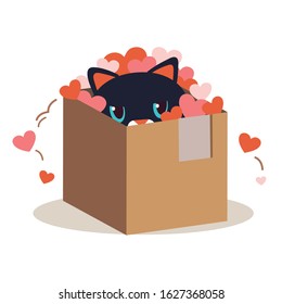 The character of cute cat in the box and play a heart on the white background in flat vector style.