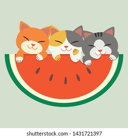 The character of cute cat play with a big watermelon in flat vector style.