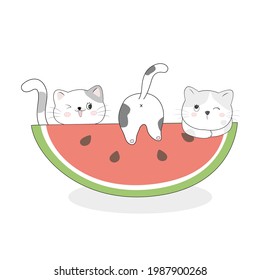 El personaje de un gato lindo juega con una gran sandía en un estilo vectorial plano.