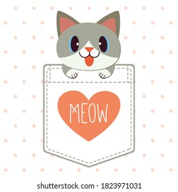 The character of cute cat in the pocket of shirt in flat vector style. illustation about cat for banner, greeting card,content,grahic.
